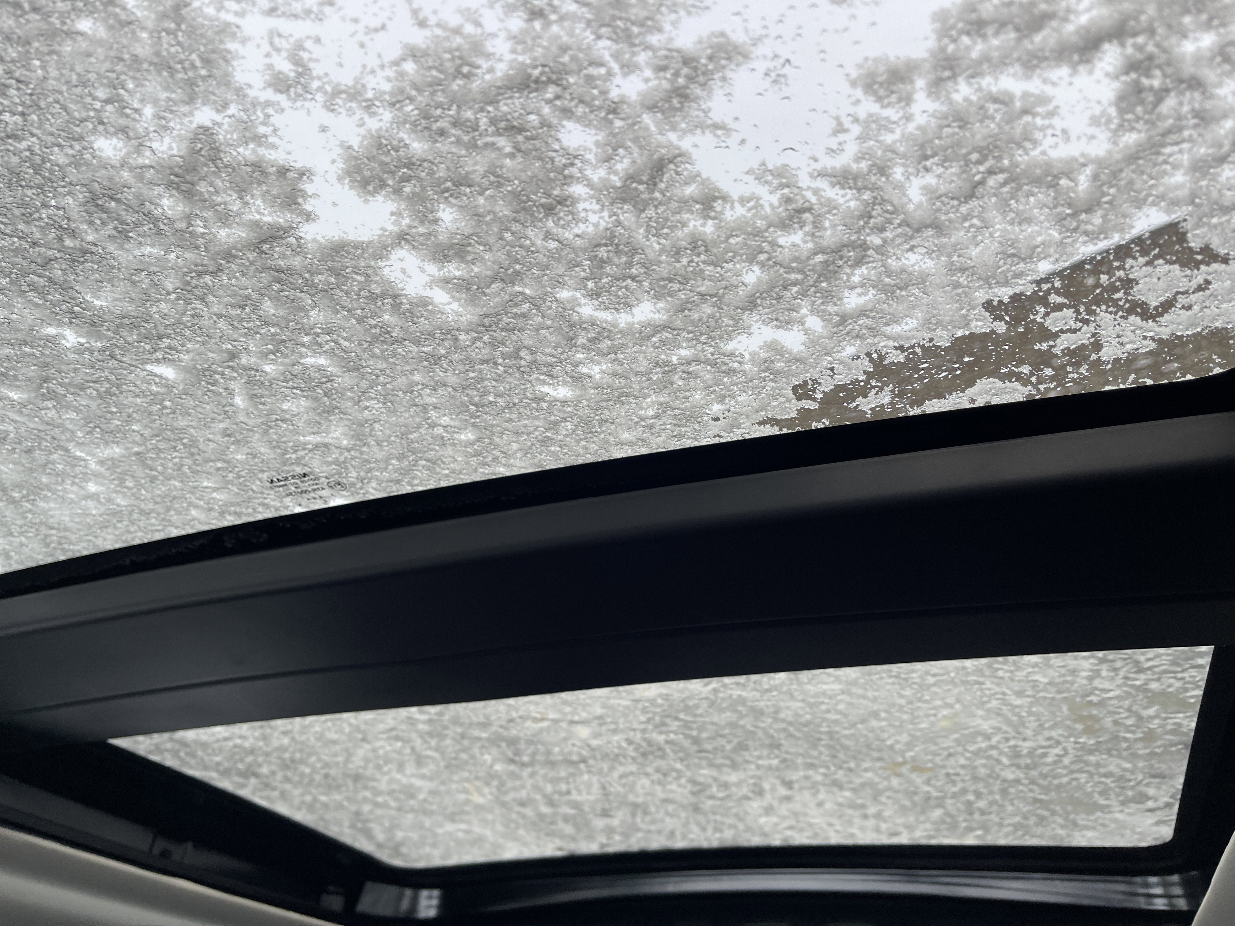 Used 2019 Nissan Murano SL image 16