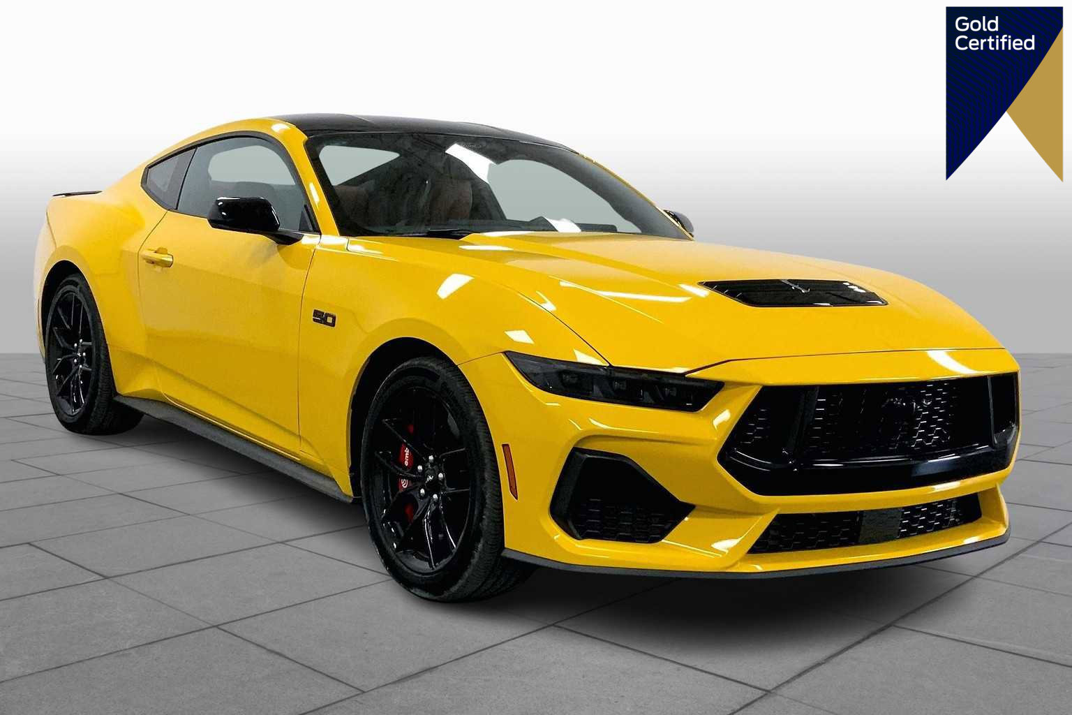 Certified 2024 Ford Mustang GT Premium w/ Mustang Nite Pony Package