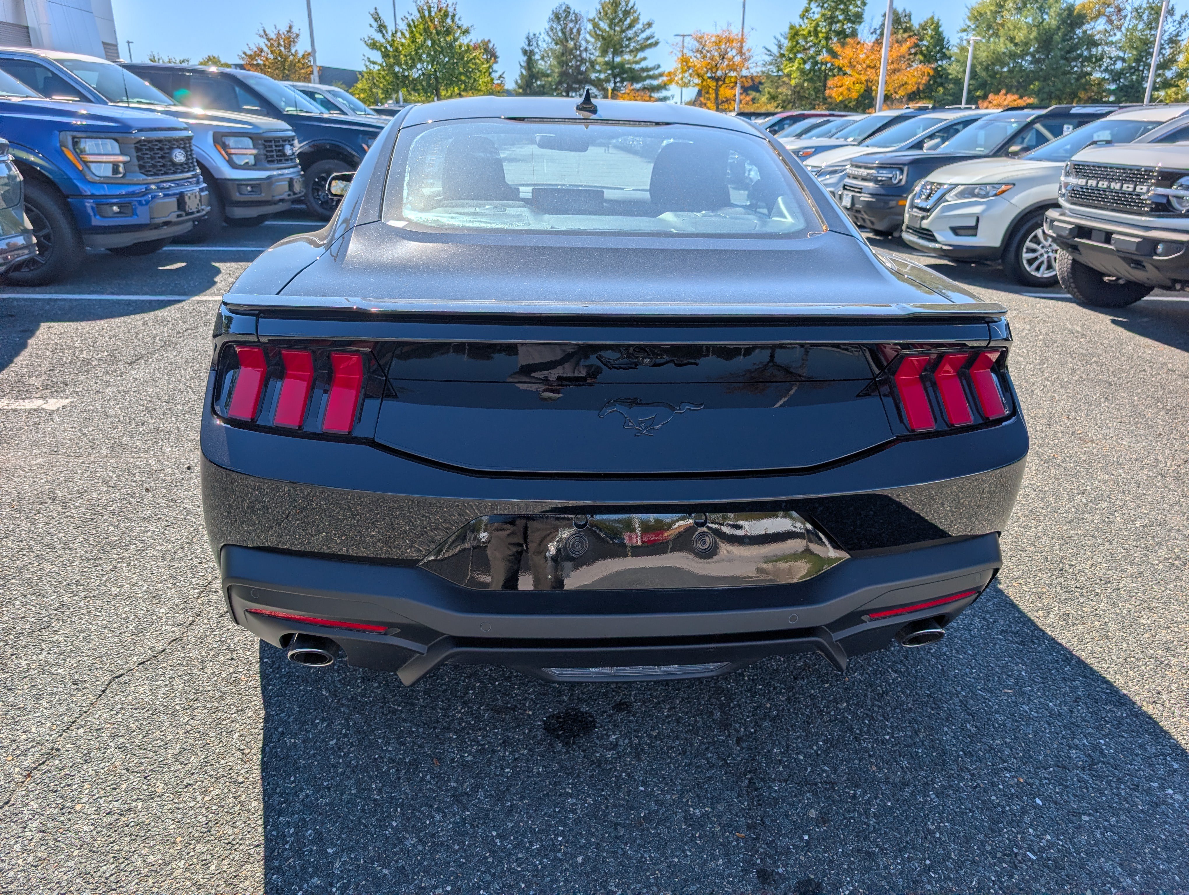 Certified 2026 Ford Mustang Coupe w/ Mustang Nite Pony Package RWD image 5
