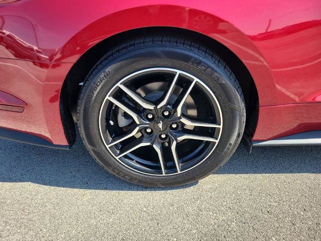 Certified 2023 Ford Mustang Premium w/ Equipment Group 201A RWD image 6