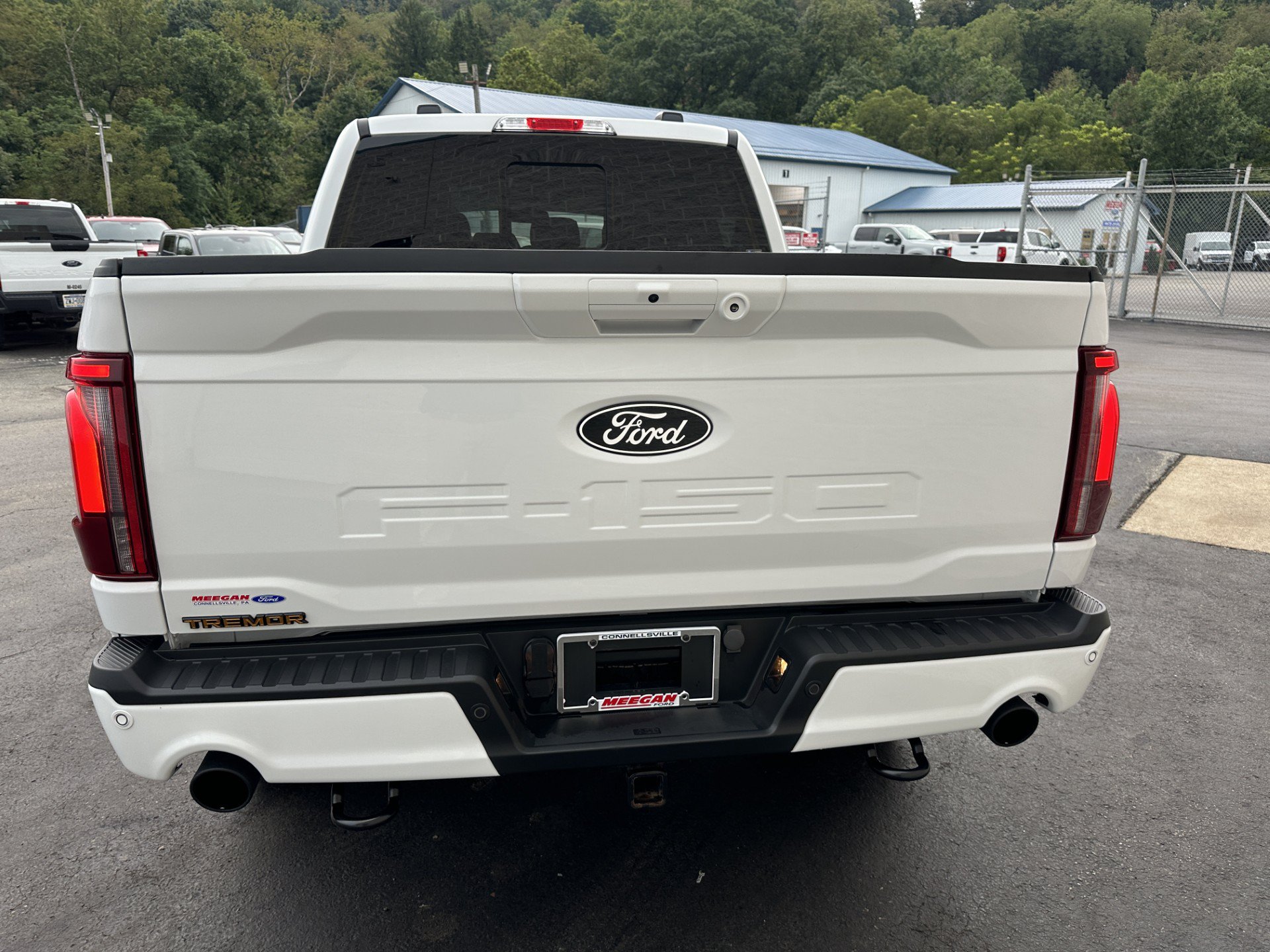Certified 2024 Ford F150 Tremor w/ Bed Utility Package AWD/4WD image 6