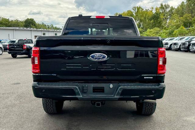 Certified 2023 Ford F150 XLT w/ Equipment Group 302A High AWD/4WD image 4