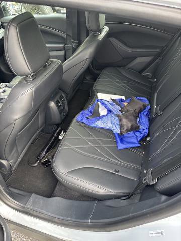 Certified 2022 Ford Mustang Mach-E California Route 1 image 8