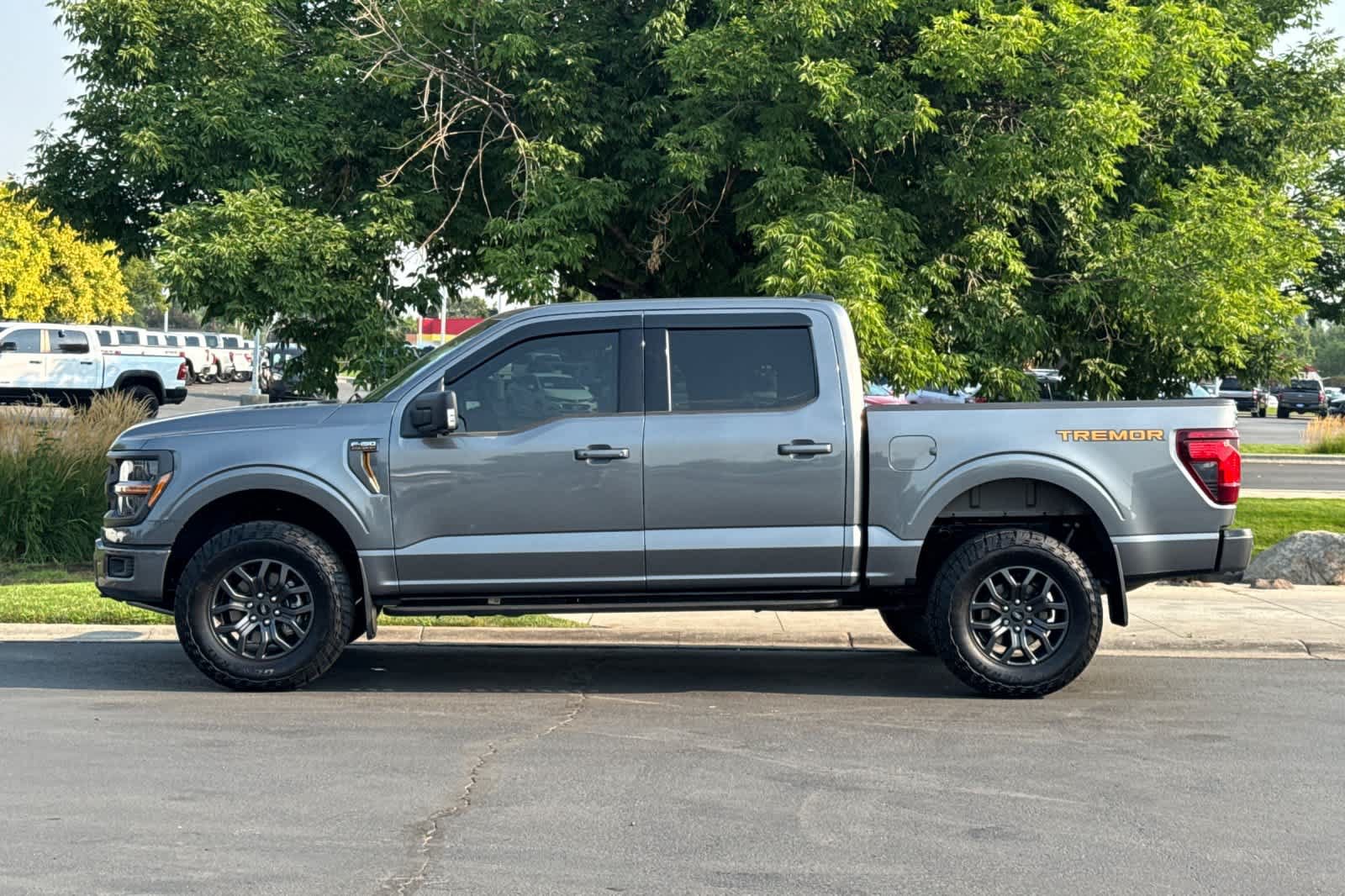 Certified 2025 Ford F150 Tremor w/ Tow/Haul Package AWD/4WD image 5