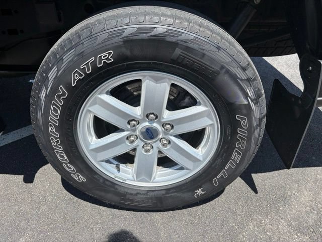 Certified 2021 Ford F150 XL w/ Equipment Group 101A High AWD/4WD image 12
