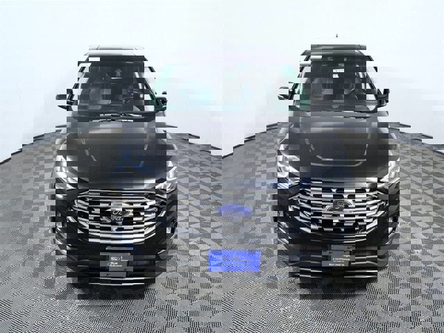 Certified 2019 Ford Edge Titanium w/ Equipment Group 301A image 6