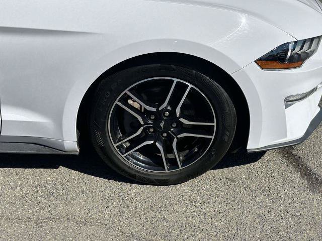 Certified 2023 Ford Mustang Premium RWD image 6