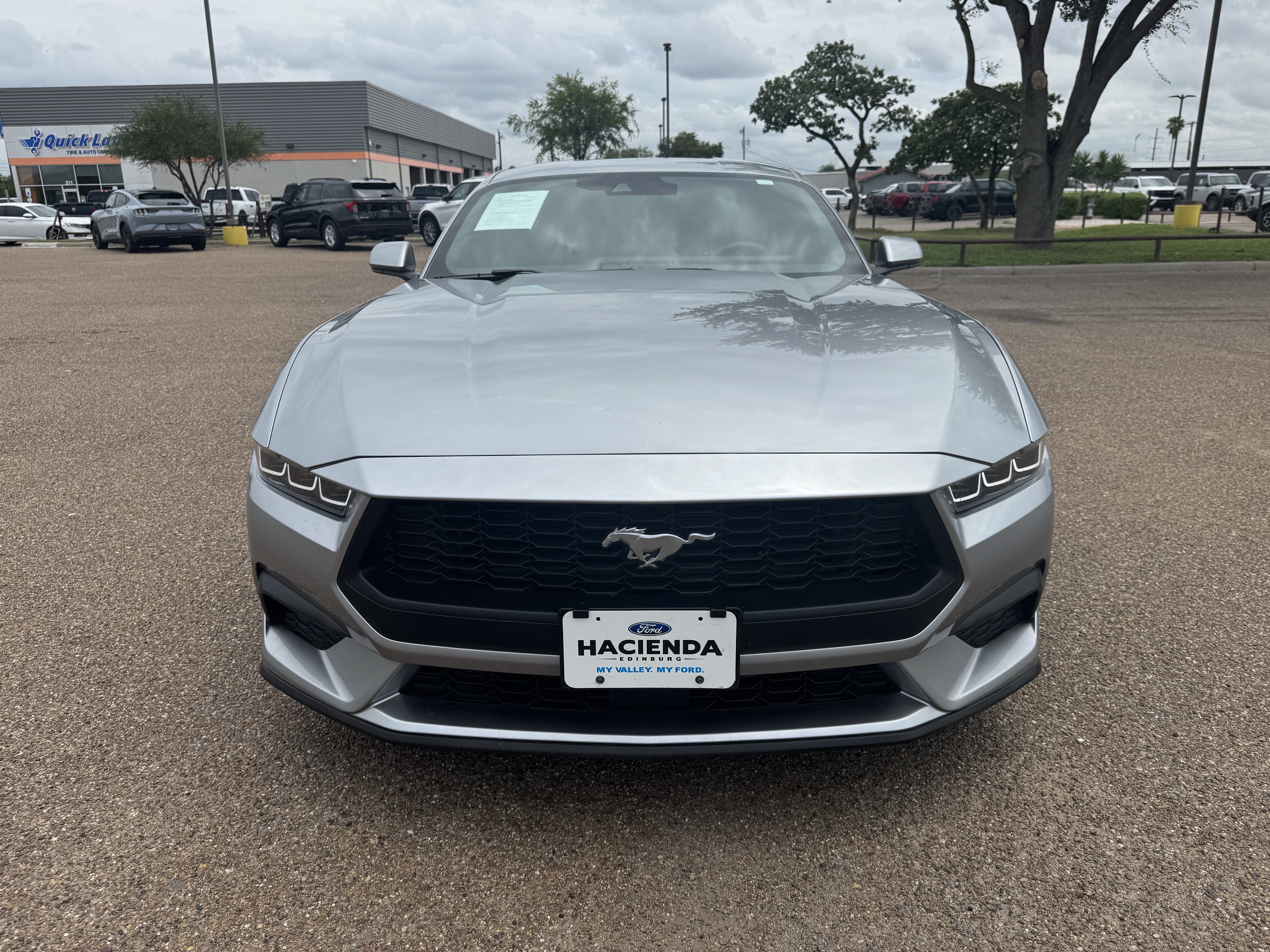 Certified 2024 Ford Mustang Premium RWD image 6