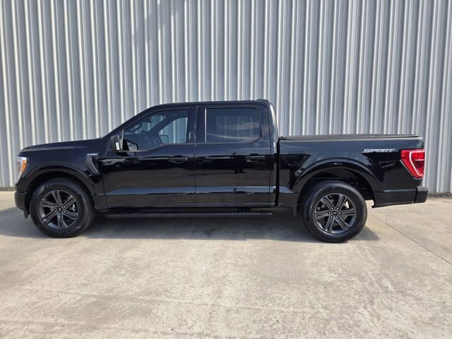 Certified 2023 Ford F150 XLT w/ Equipment Group 302A High RWD image 6