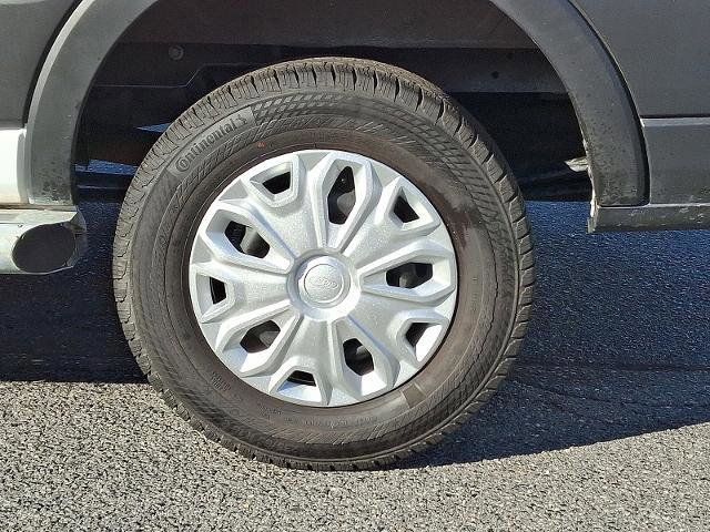 Certified 2024 Ford Transit 250 Low Roof w/ Exterior Upgrade Package image 8