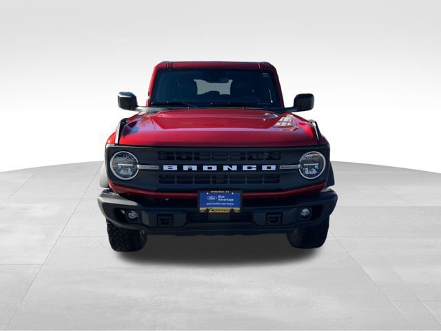 Certified 2024 Ford Bronco Black Diamond image 9