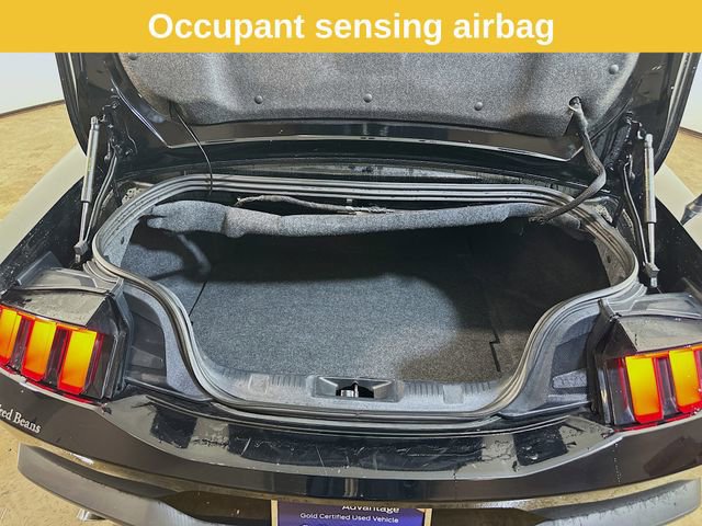 Certified 2024 Ford Mustang Premium image 23