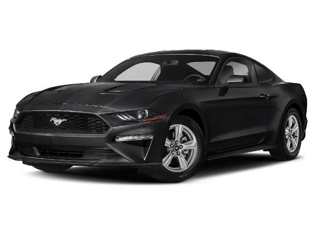 Certified 2019 Ford Mustang Premium