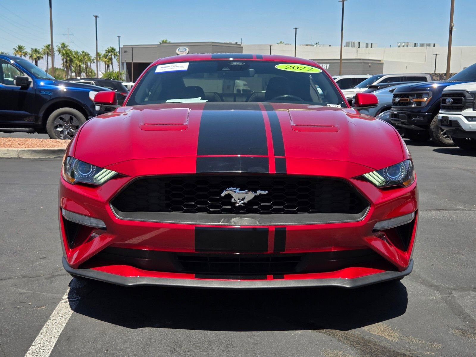Certified 2022 Ford Mustang Premium w/ Equipment Group 201A RWD image 8