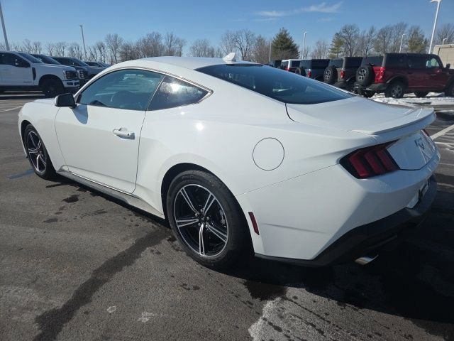 Certified 2025 Ford Mustang Premium image 2