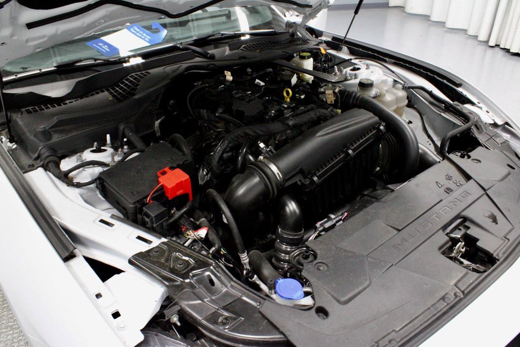 Certified 2024 Ford Mustang Premium image 16