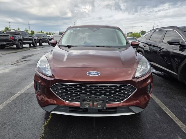 Certified 2021 Ford Escape SE w/ Cold Weather Package AWD/4WD image 2