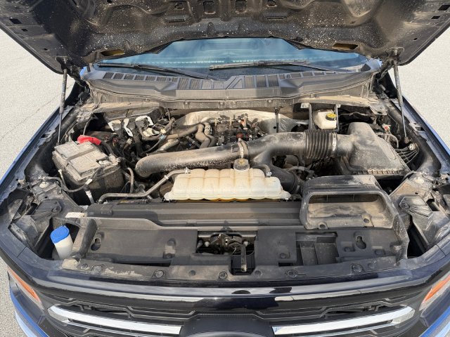 Certified 2025 Ford F150 XLT w/ Equipment Group 301A Standard AWD/4WD image 24