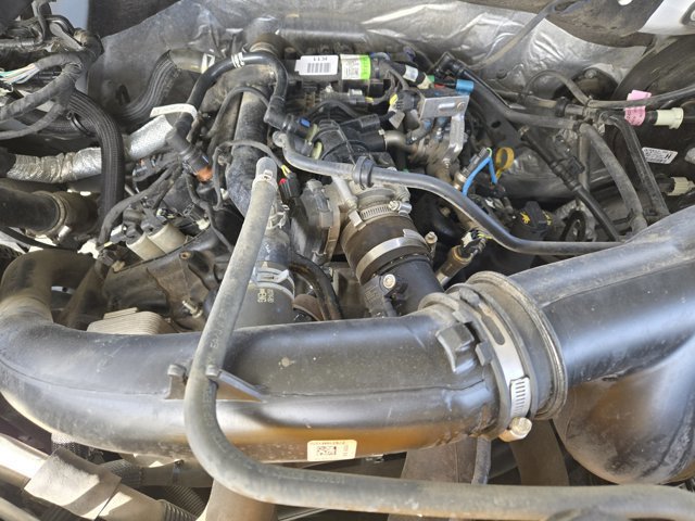 Certified 2020 Ford F150 XL w/ Equipment Group 101A Mid image 29