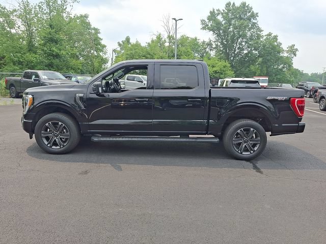 Certified 2023 Ford F150 XLT w/ Equipment Group 302A High AWD/4WD image 7