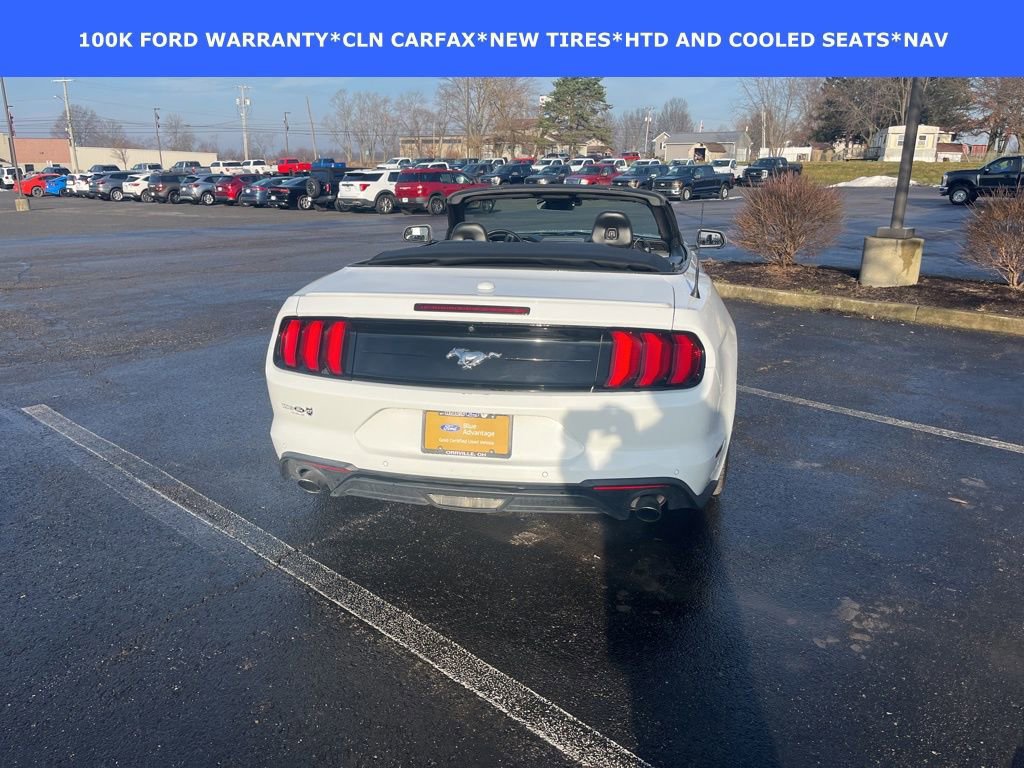 Certified 2022 Ford Mustang Premium w/ Equipment Group 201A image 8