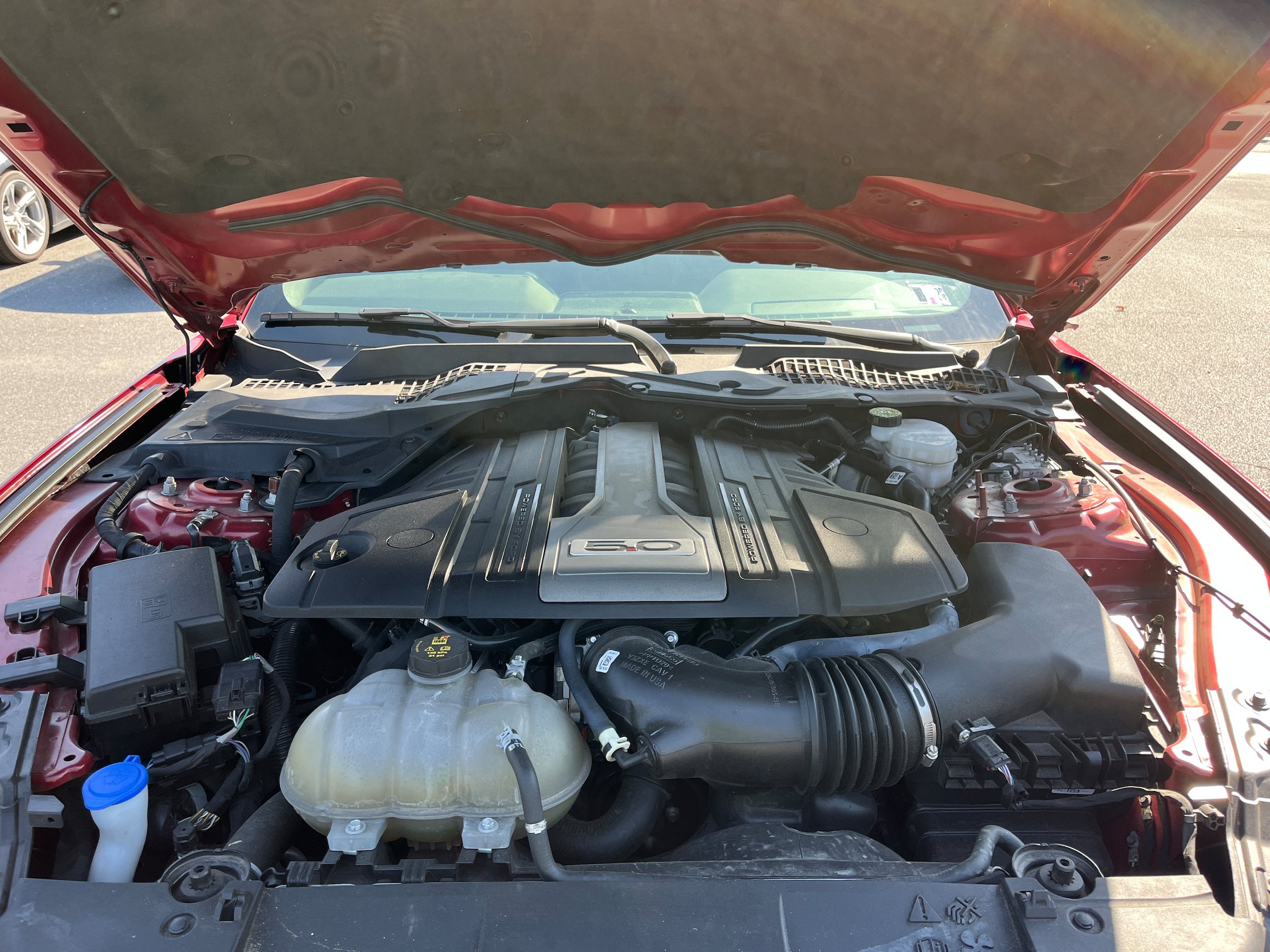 Certified 2020 Ford Mustang GT w/ Equipment Group 301A RWD image 11