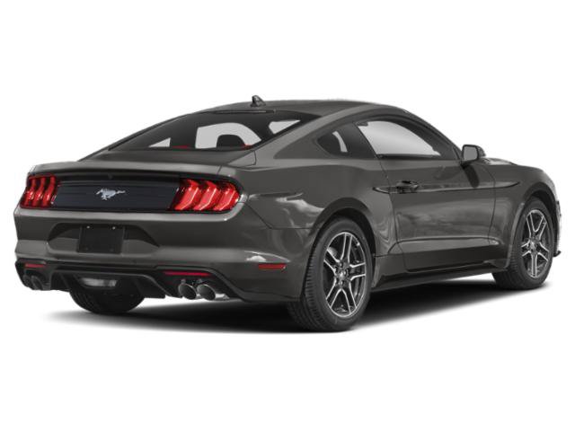 Certified 2022 Ford Mustang Coupe RWD image 3