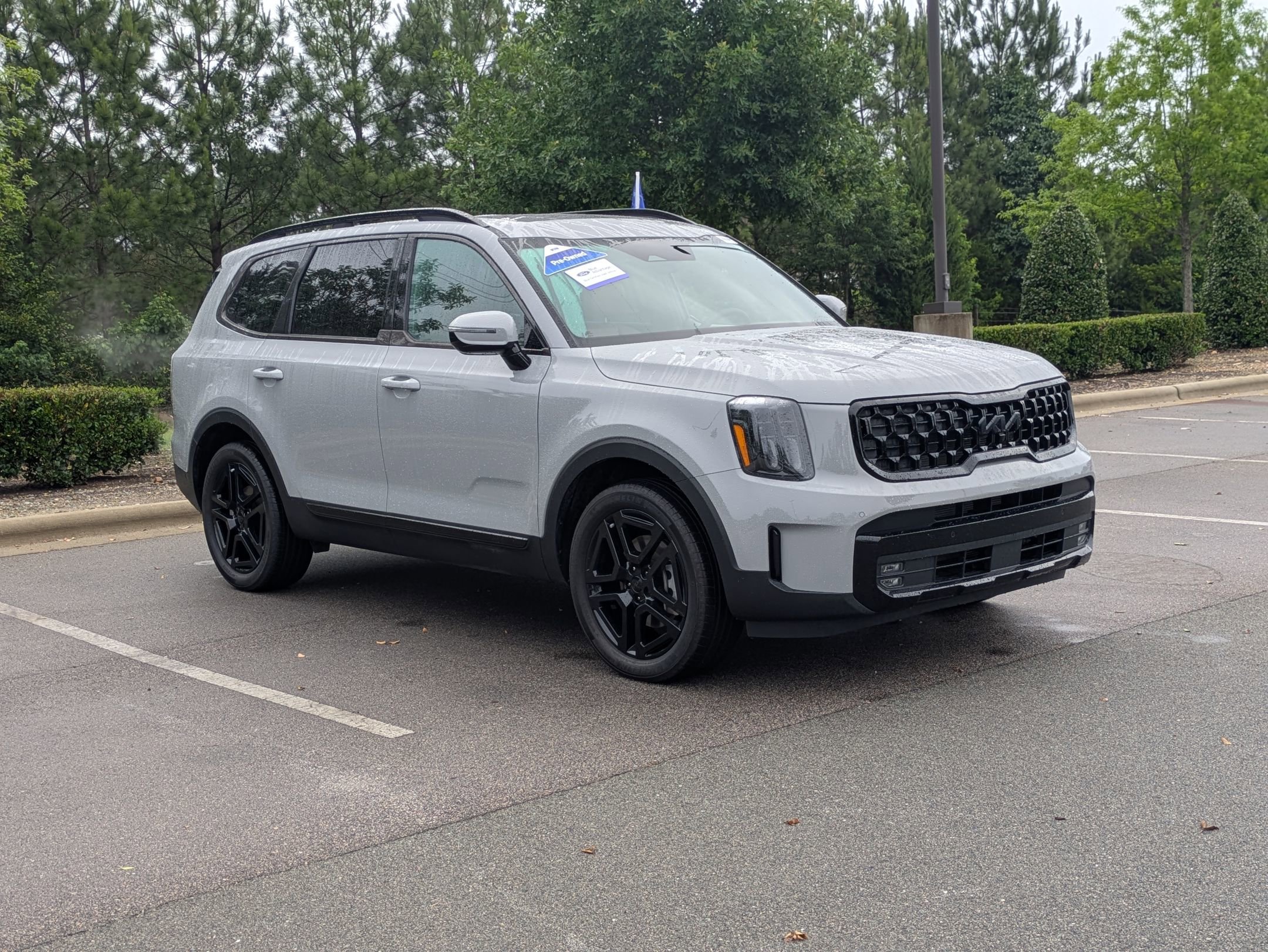Used 2025 Kia Telluride SX Prestige X-Line