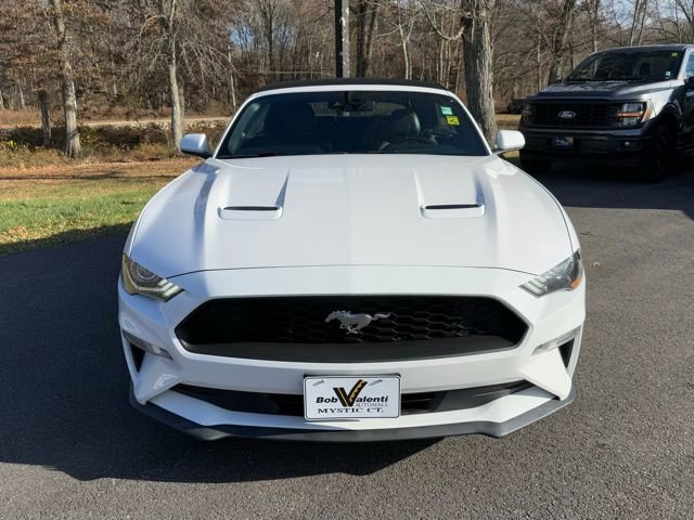 Certified 2021 Ford Mustang Premium image 17