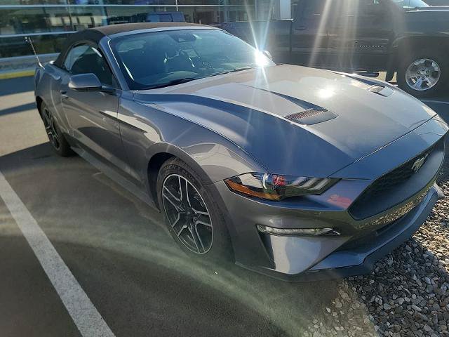 Certified 2021 Ford Mustang Premium RWD image 4