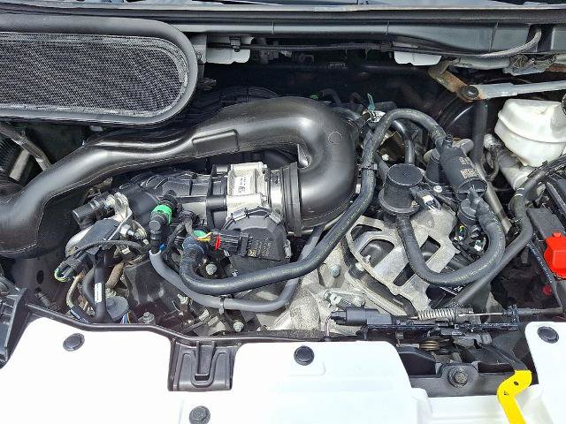 Certified 2025 Ford Transit 250 Low Roof w/ Exterior Upgrade Package RWD image 28