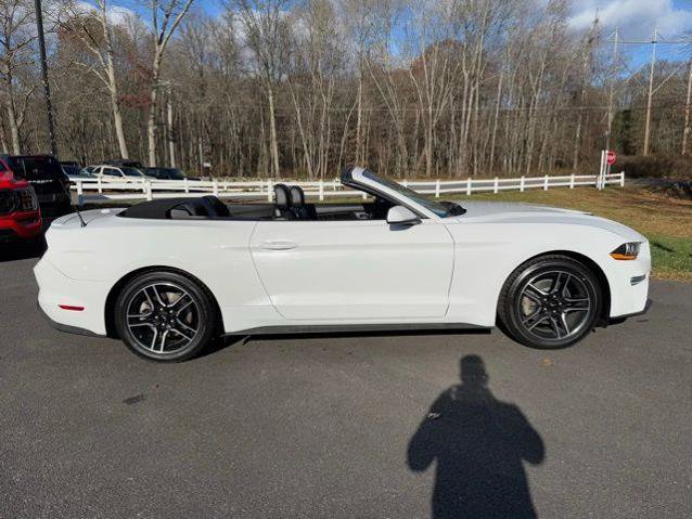 Certified 2021 Ford Mustang Premium image 3