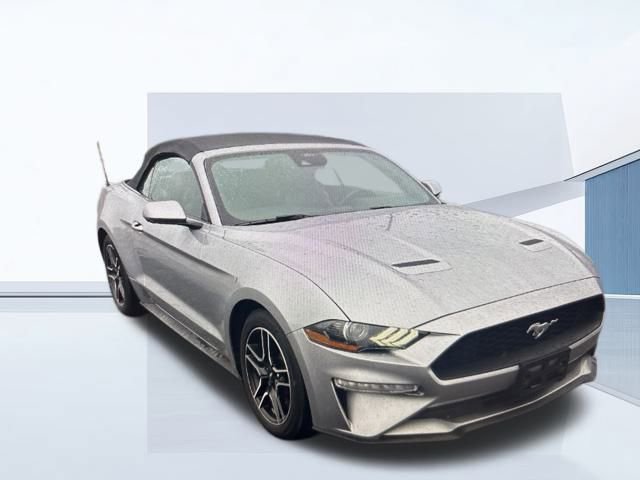 Certified 2021 Ford Mustang EcoBoost w/ Equipment Group 101A image 12