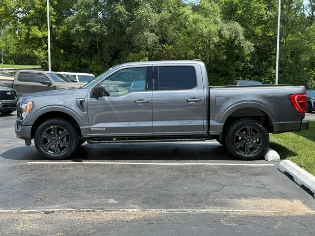 Certified 2023 Ford F150 XLT w/ Equipment Group 302A High AWD/4WD image 4