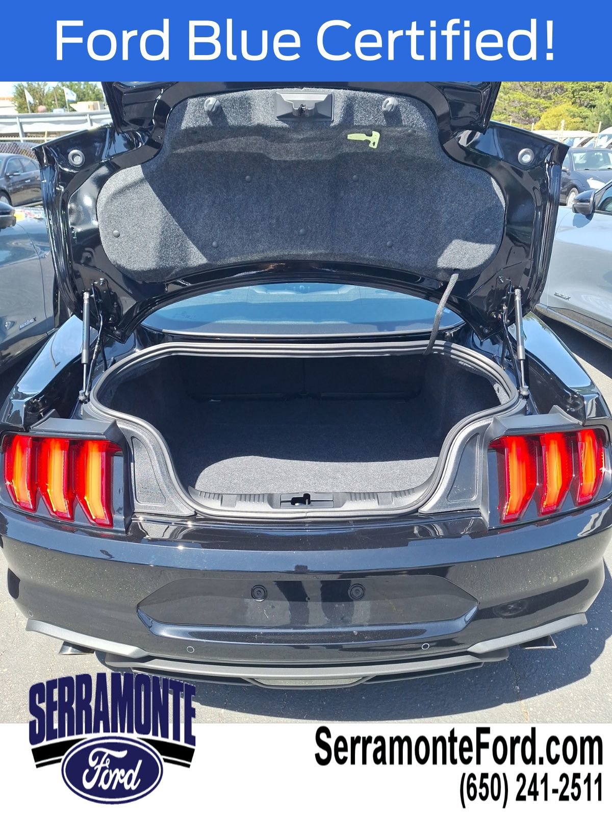 Certified 2021 Ford Mustang Coupe w/ Equipment Group 101A image 8