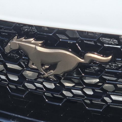 Certified 2024 Ford Mustang GT Premium image 9