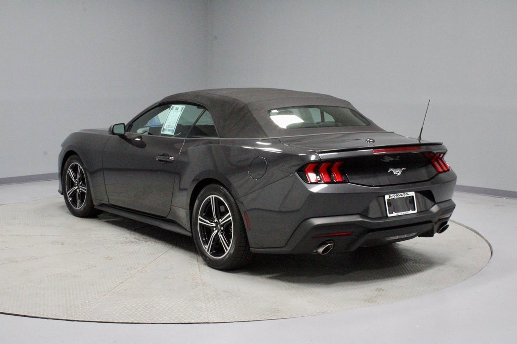 Certified 2024 Ford Mustang Premium image 3