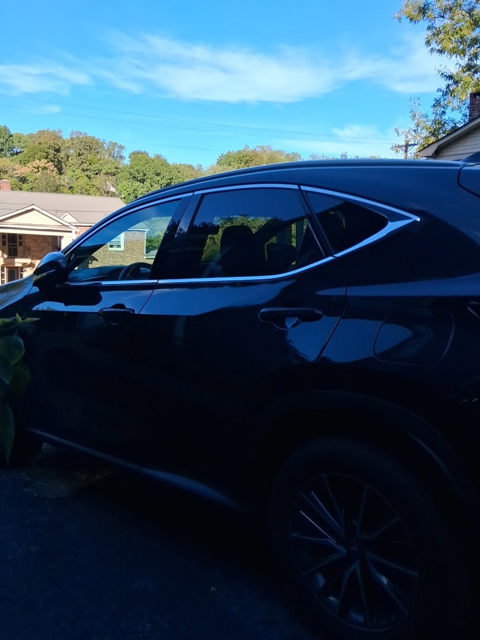 Used 2024 Lexus NX 250 FWD image 5