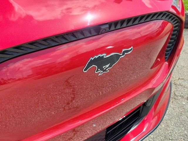 Certified 2023 Ford Mustang Mach-E California Route 1 image 6