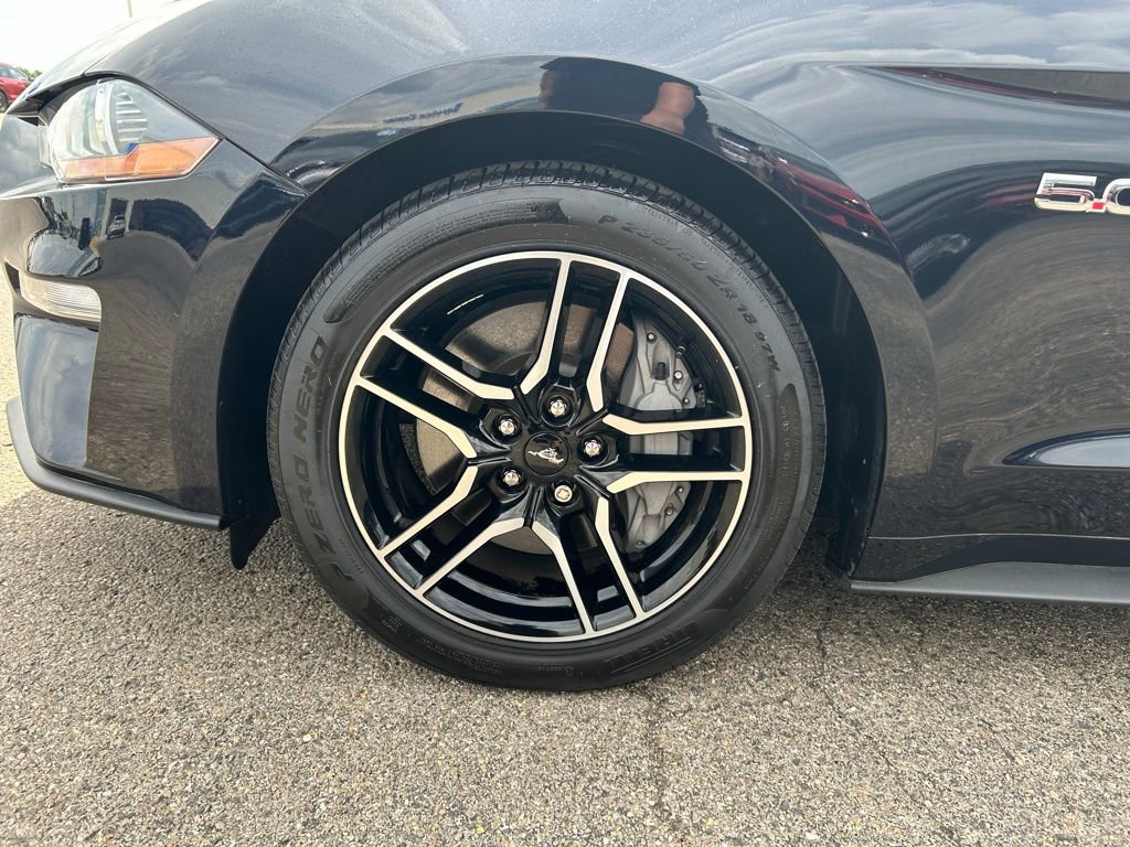 Certified 2021 Ford Mustang GT Premium w/ Equipment Group 401A RWD image 13