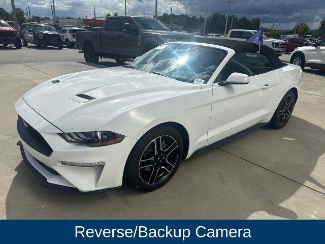 Certified 2022 Ford Mustang Convertible w/ Equipment Group 101A RWD image 3