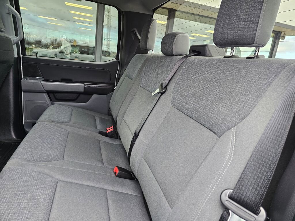 Certified 2025 Ford F150 XLT w/ Equipment Group 301A Standard image 14