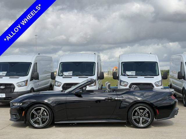 Certified 2024 Ford Mustang Premium RWD image 3