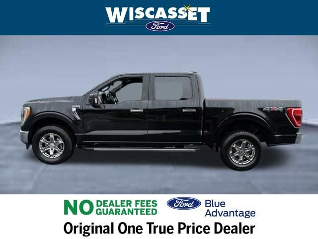 Certified 2022 Ford F150 XLT w/ Equipment Group 302A High image 2