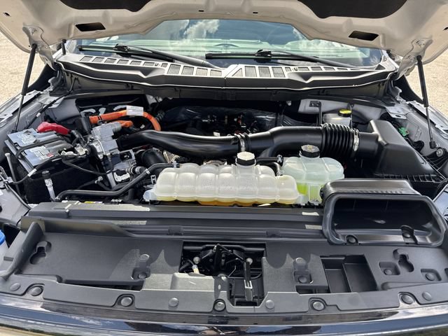 Certified 2024 Ford F150 XLT w/ Equipment Group 302A MID AWD/4WD image 25