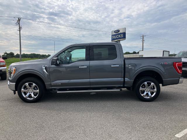 Certified 2023 Ford F150 XLT w/ Equipment Group 302A High AWD/4WD image 8