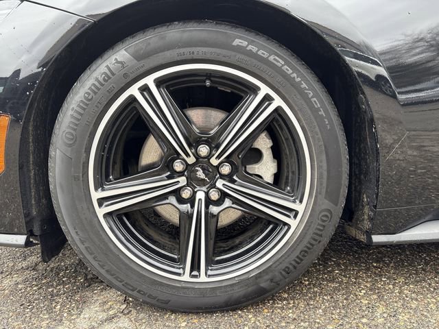 Certified 2024 Ford Mustang Premium image 55