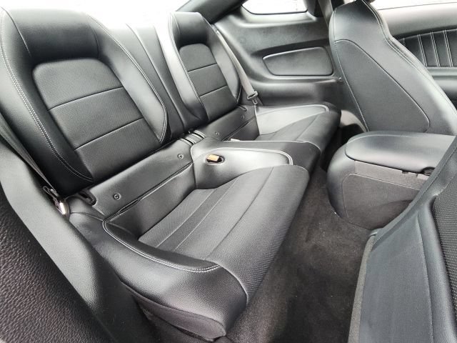 Certified 2019 Ford Mustang Premium RWD image 13