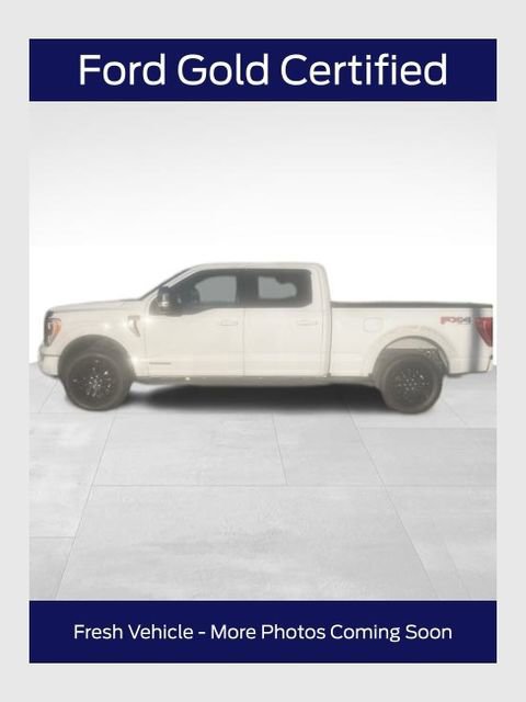 Certified 2021 Ford F150 XLT w/ Equipment Group 302A High