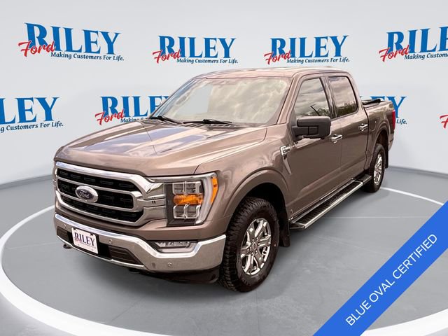 Certified 2022 Ford F150 XLT w/ Equipment Group 302A High AWD/4WD image 1